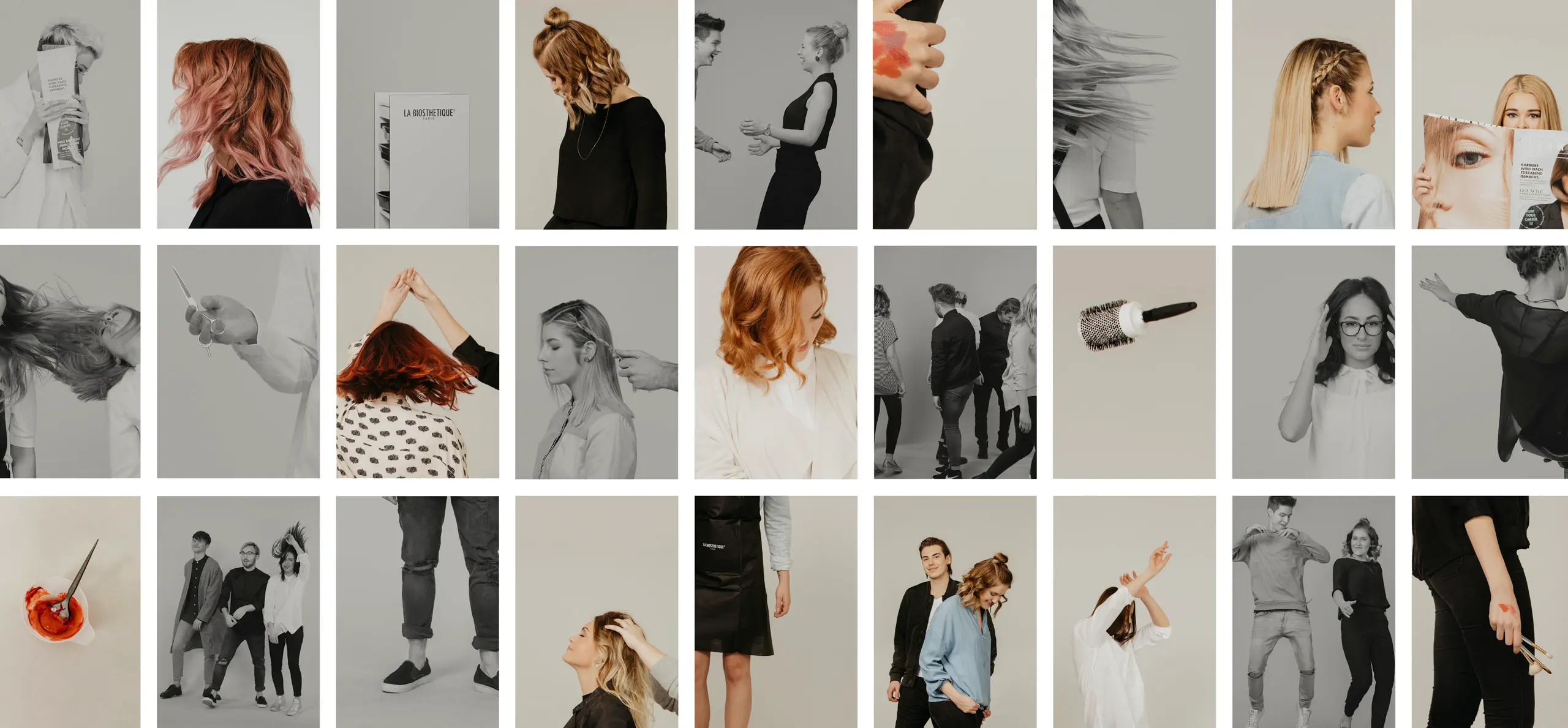 La Biosthetique Hair Beauty Artist 2